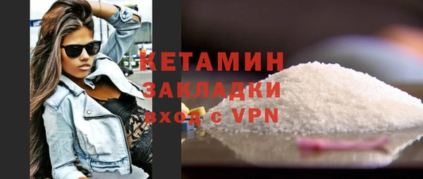 индика Дмитриев