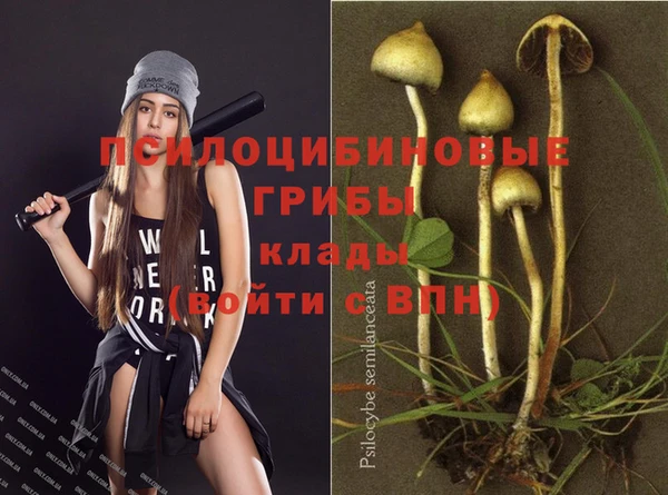 ешки Абинск