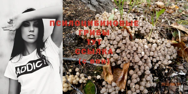 ешки Абинск